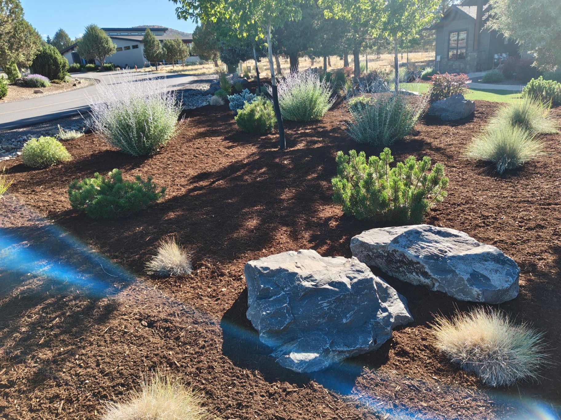 Front yard landscape design with rich mulch beds, mugo pines and basalt boulder accents in Bend Oregon in Tumalo, OR by A1 Lawn & Landscape of Bend