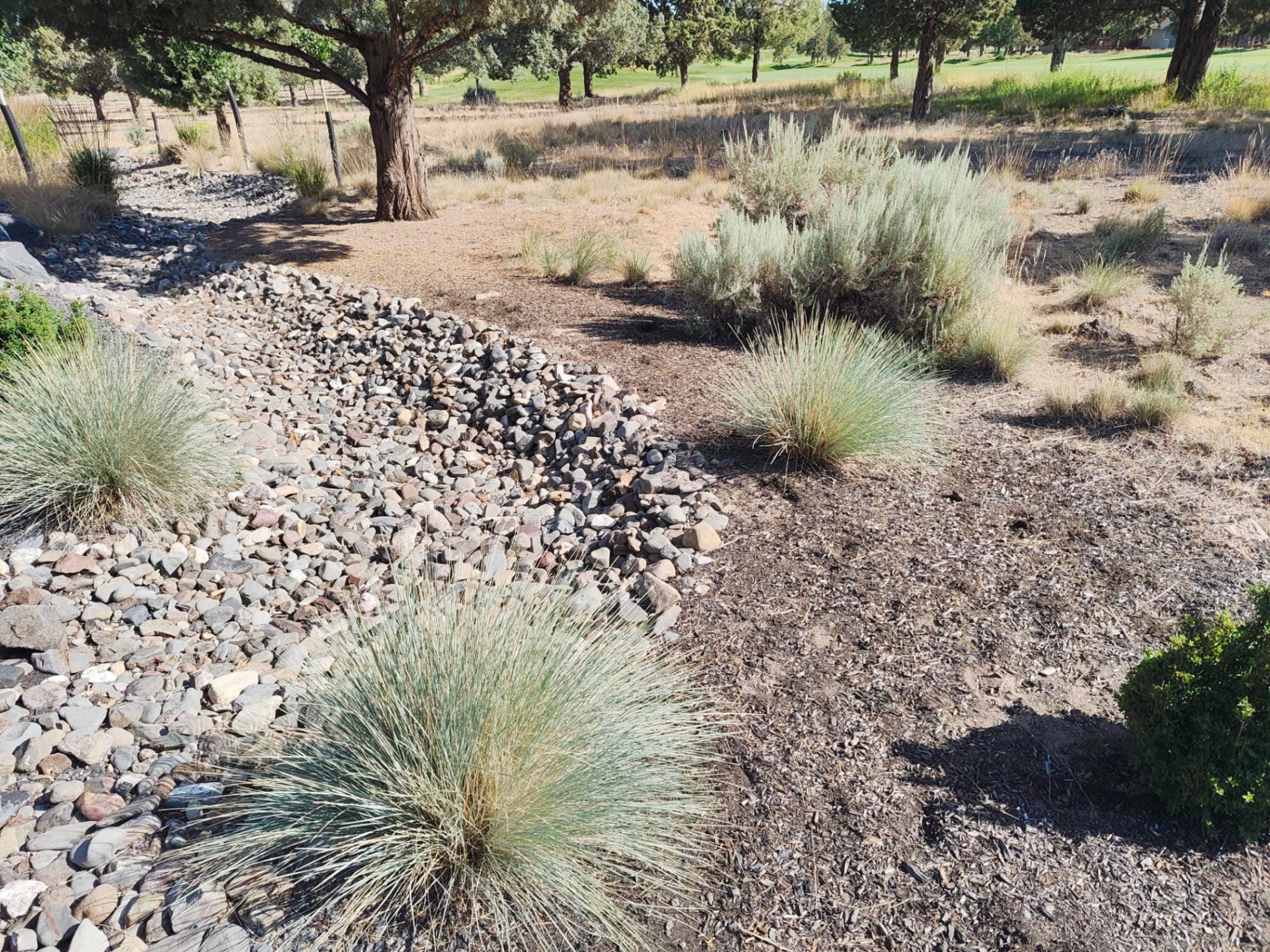 Xeriscape design with dry creek bed, blue fescue and sagebrush overlooking a Central Oregon golf course in Bend in Sunriver, OR by A1 Lawn & Landscape of Bend
